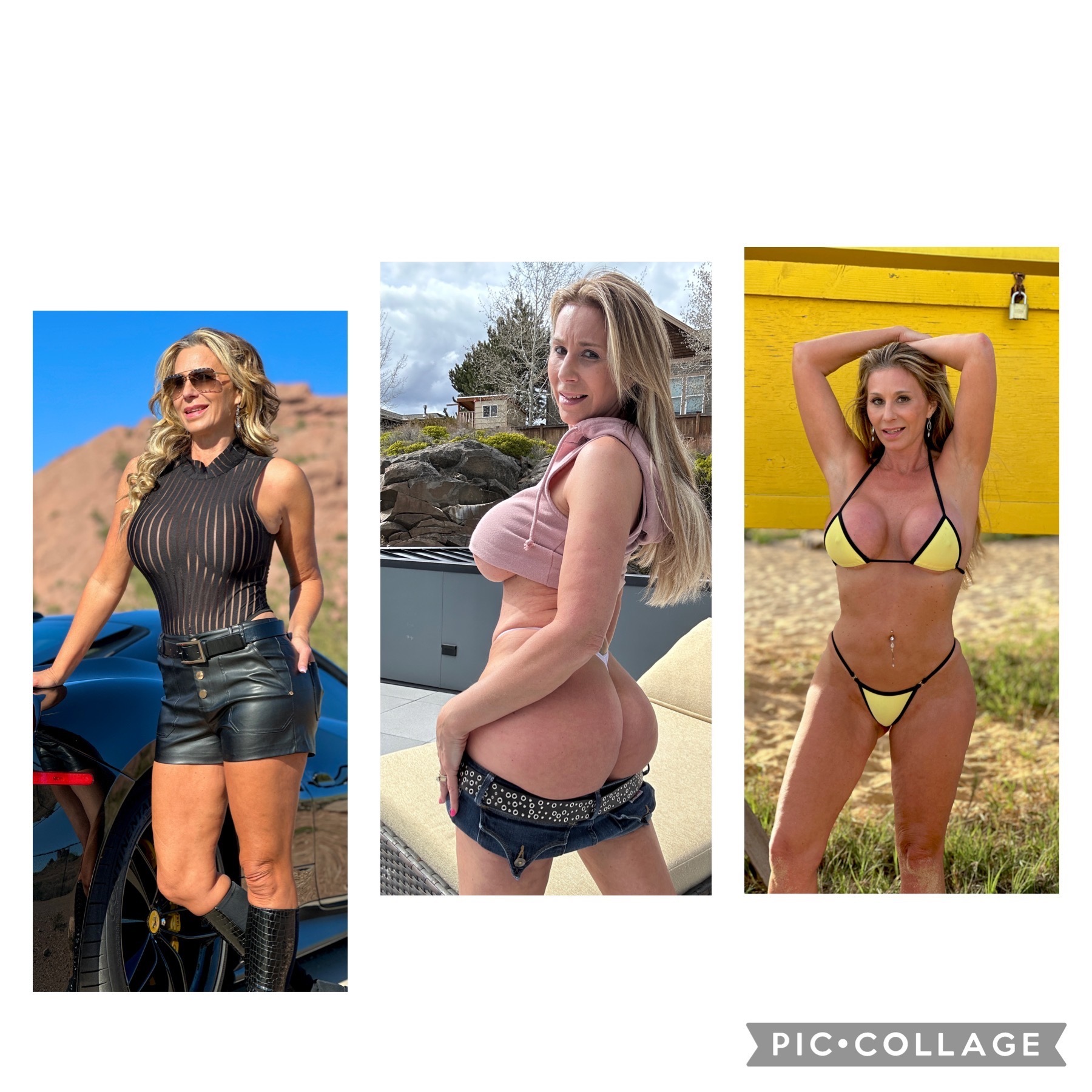 Ainslee Divine cover